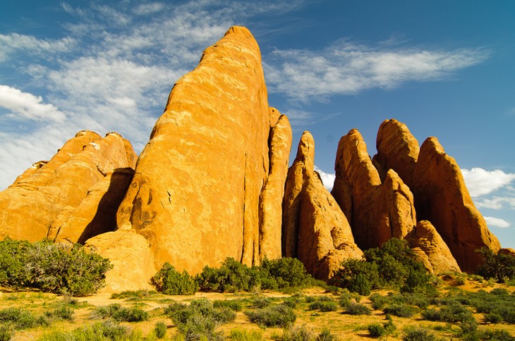 The Fins