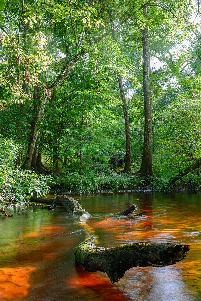 Soldier Creek