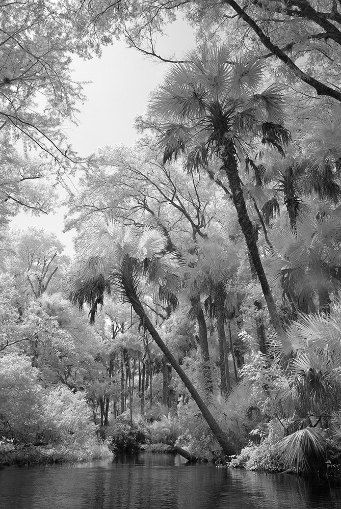 Rock Springs Run Infrared