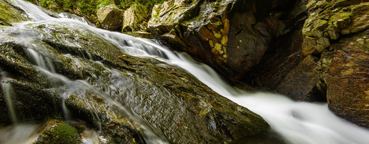 20130513-DSC_4168
