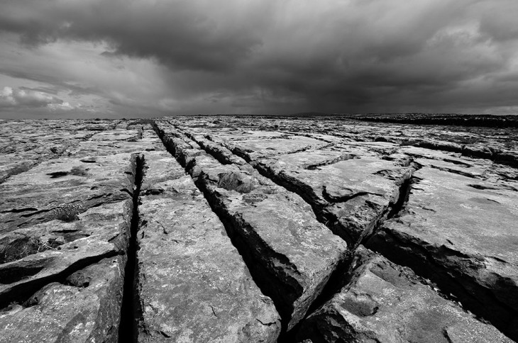 _DSC1009