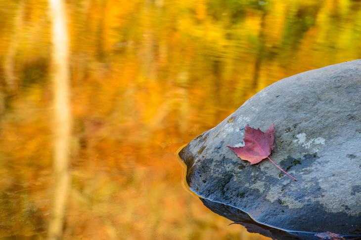 Fall Reflections 1