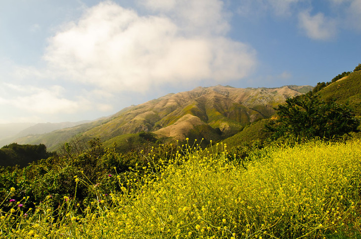 Big Sur