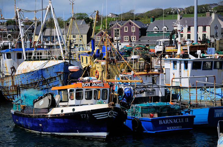 dingle harbor