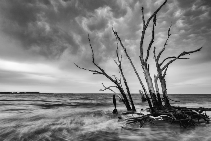 DSC_0282-Edit-web