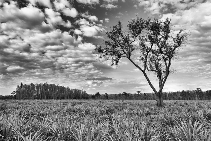 DSC_3896-web