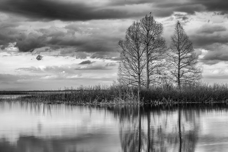 DSC_3924-web