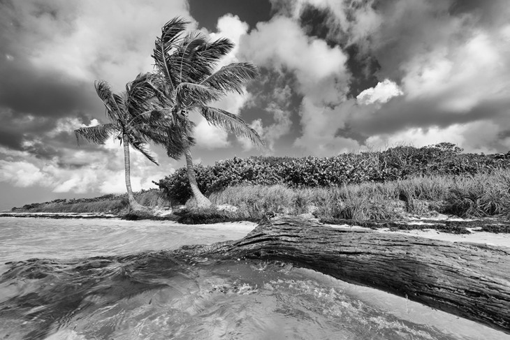 DSC_4776-web