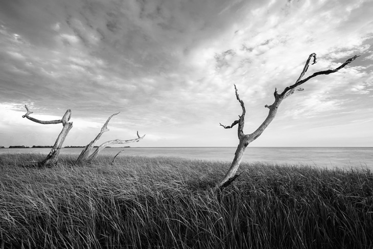 Shired-island-DSC_1398-web