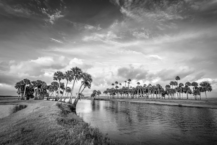 econ-delta-DSC_1337-web