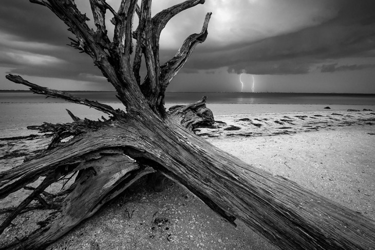 sanibel-DSC_1294-web