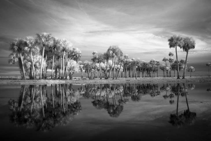 Old Florida Dream