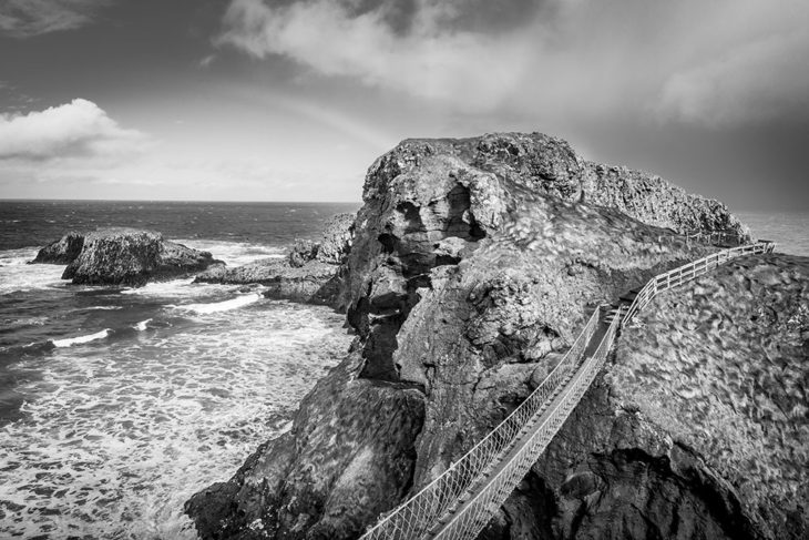 DSC_8668-2